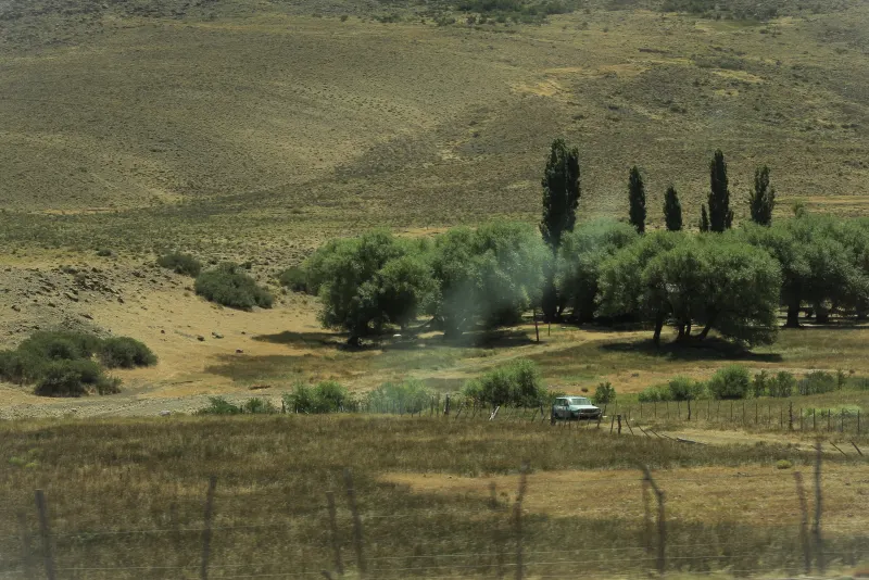 Valle con álamos y estepa patagónica